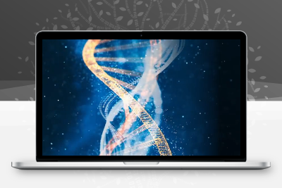 从三维到五维的专注升维：激活星际能量的传讯与实操方法